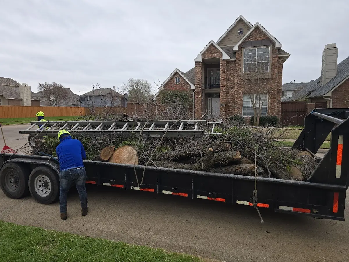 Expert Lot Clearing with proper safety equipment in Beirne